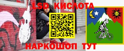 гидропоника Краснокаменск