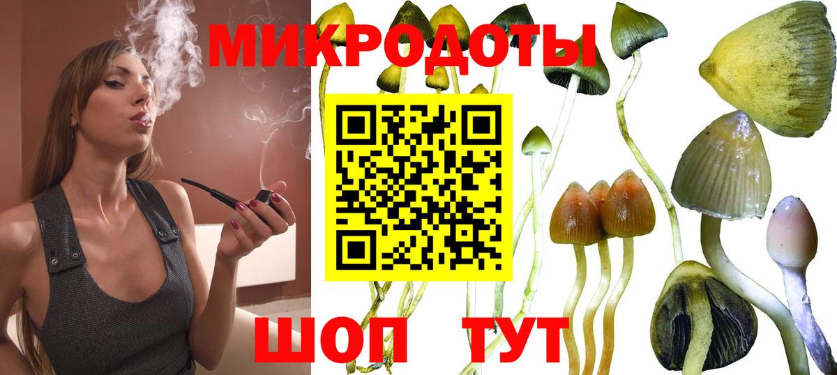 Химки  Псилоцибиновые грибы мухоморы  Вход с VPN  Псилоцибиновые грибы Psilocybe 